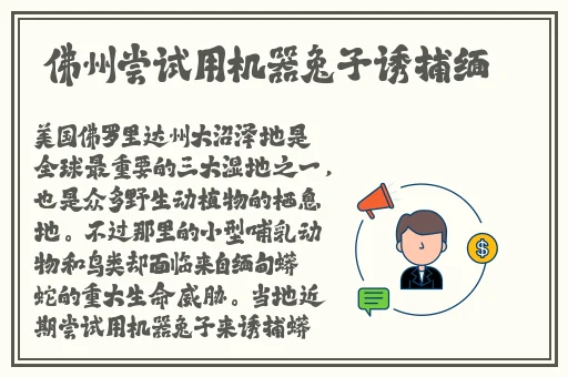 97**无码免费视频一区
